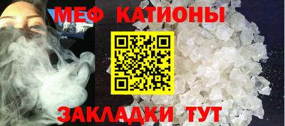 прущие грибы Будённовск