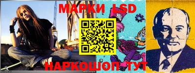 прущие грибы Будённовск