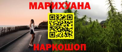 прущие грибы Будённовск