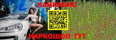 прущие грибы Будённовск