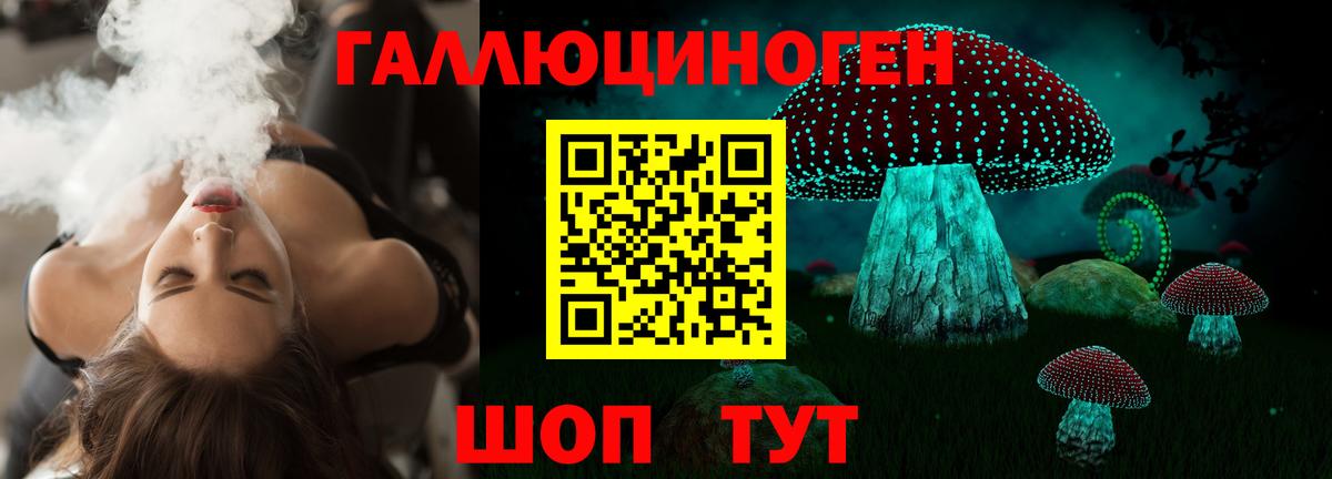 Псилоцибиновые грибы Cubensis Краснознаменск
