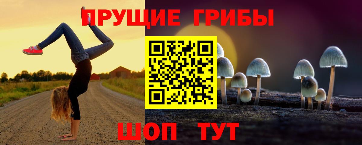 хочу   Галлюциногенные грибы ЛСД  Вход с VPN  Краснознаменск 